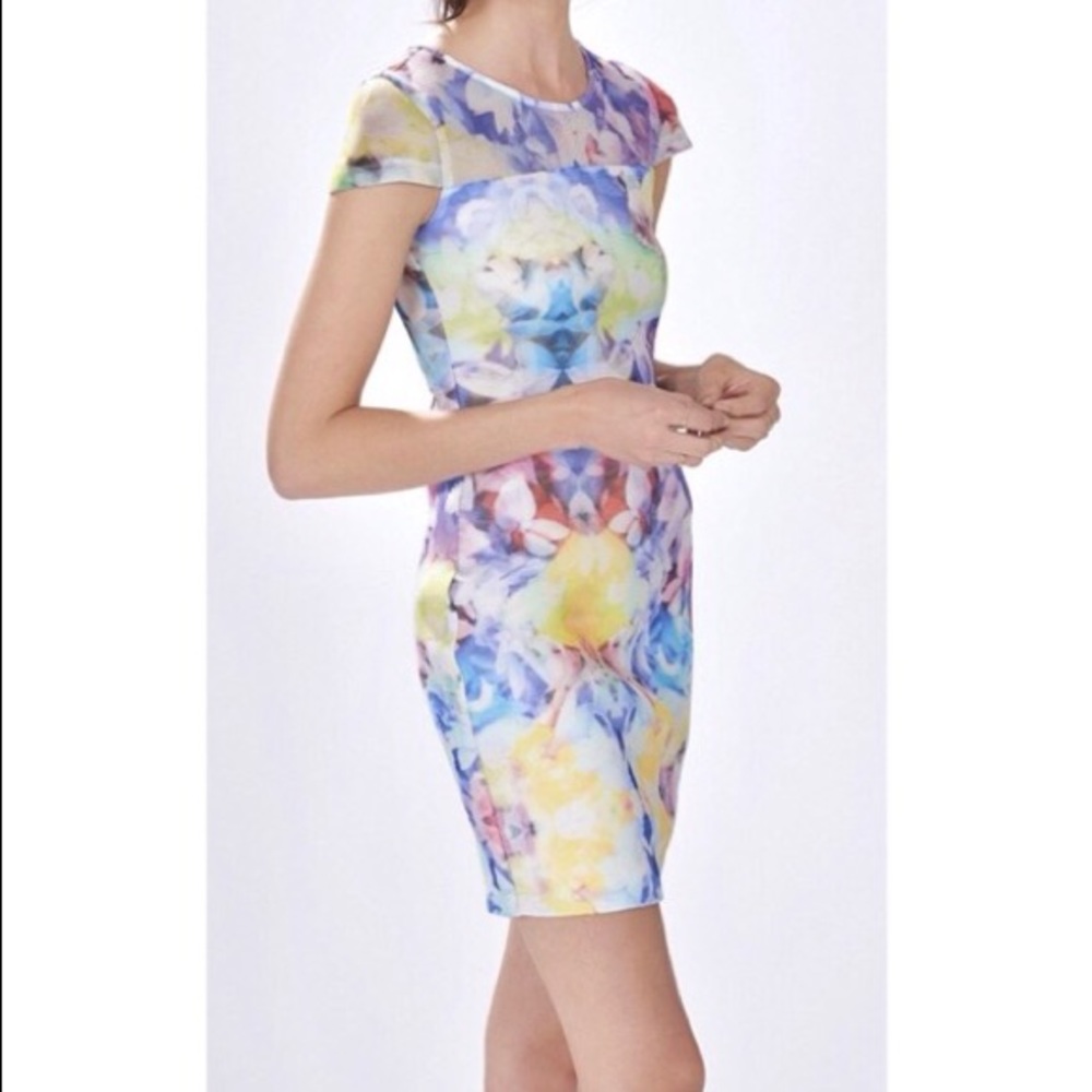 Parker August Arcadia Dreas